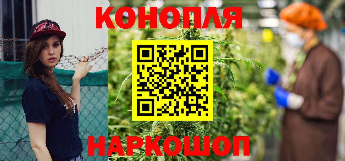 Шишки марихуана гибрид Камышин
